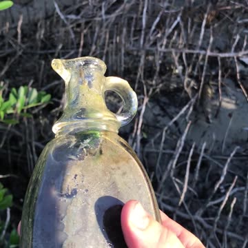 Pulled up a 1920s syrup bottle on low tide, tucked in the mangroves.