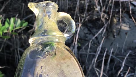 Pulled up a 1920s syrup bottle on low tide, tucked in the mangroves.