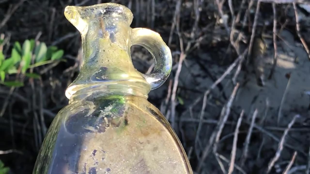 Pulled up a 1920s syrup bottle on low tide, tucked in the mangroves.