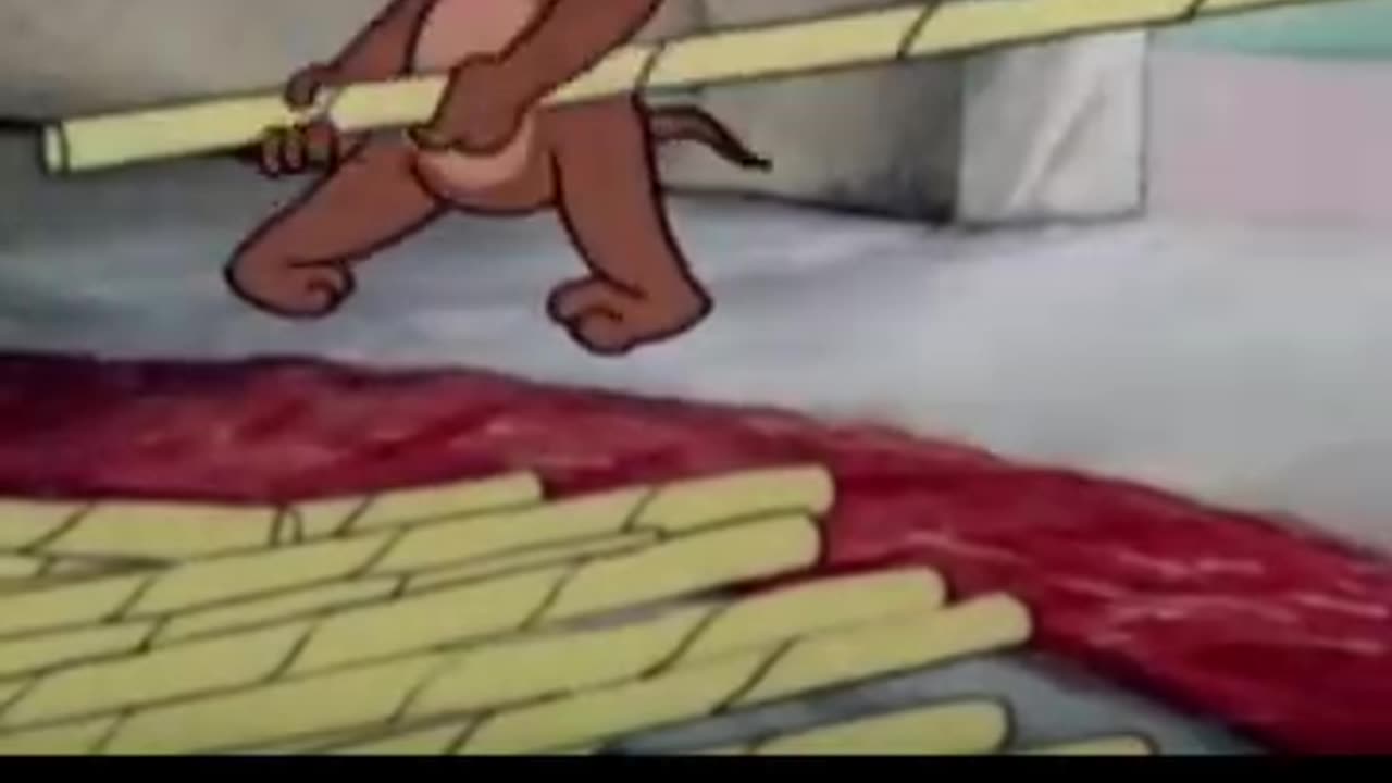 Tom and jarry funny vidieo