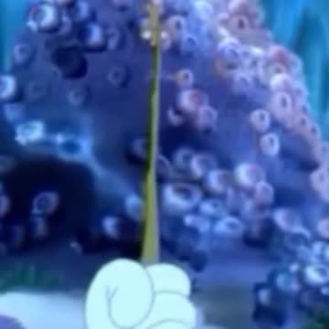 funny funny videos funny jokes funny animals funny memes funny movies funny bone