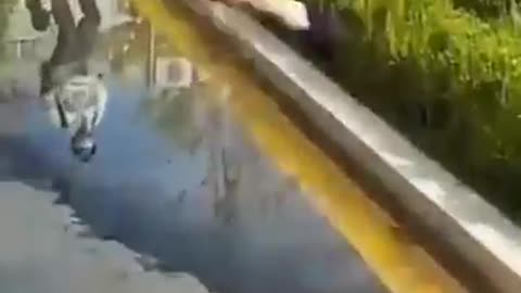 wait end🤣🤣 #funny #short #meme + #fail #falldown #just_different