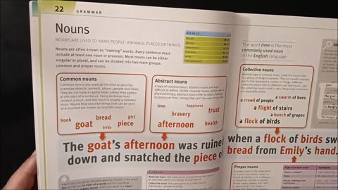 Noun and Grammar