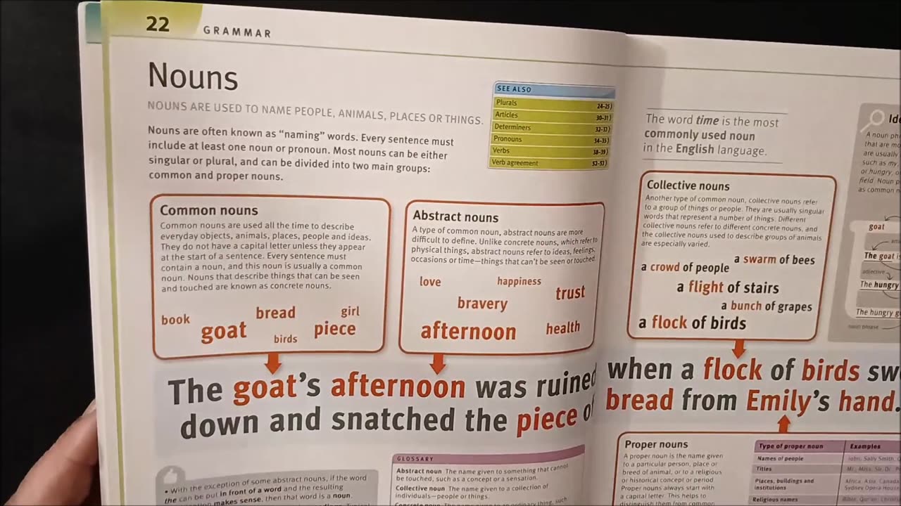 Noun and Grammar