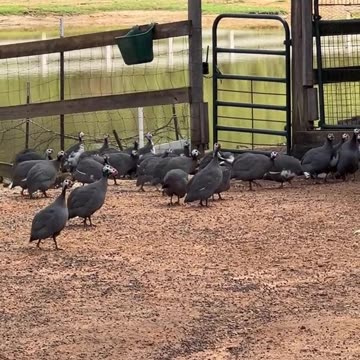 This seems like a nice place to hang out. NOPE!!!