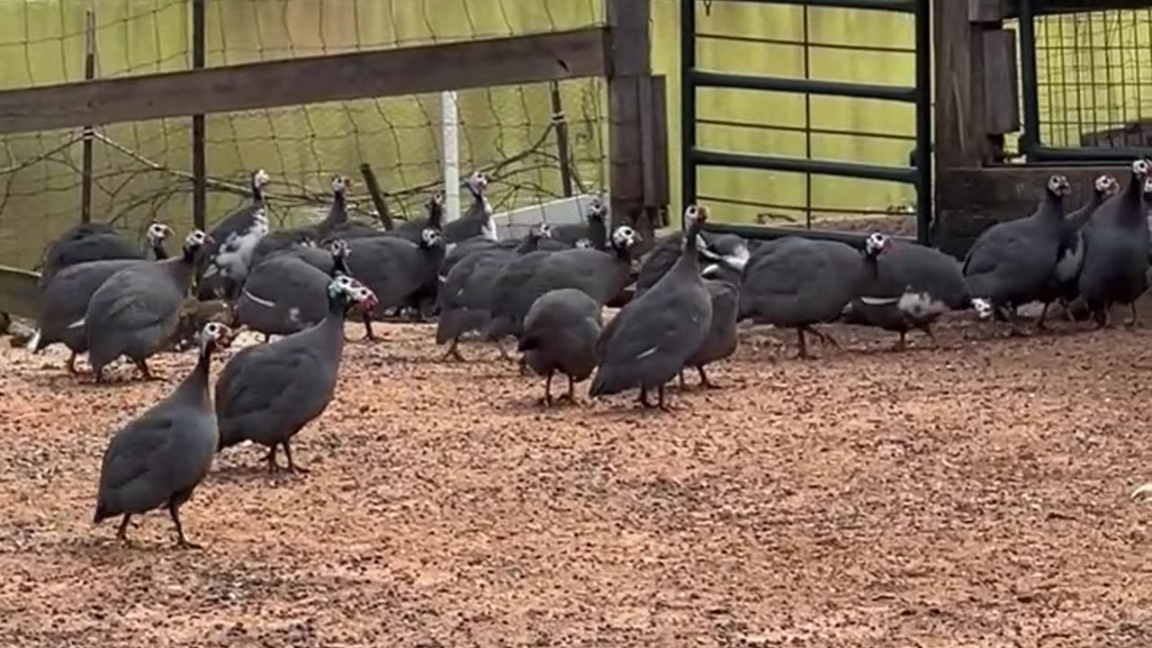 This seems like a nice place to hang out. NOPE!!!