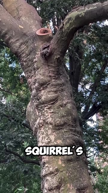 This child's kindness has garnered millions of views on this video