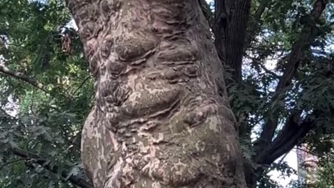 This child's kindness has garnered millions of views on this video