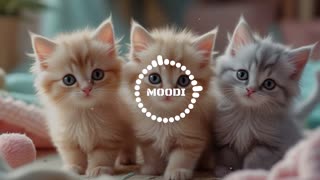 Purrrtime sadness song