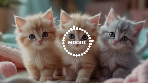 Purrrtime sadness song