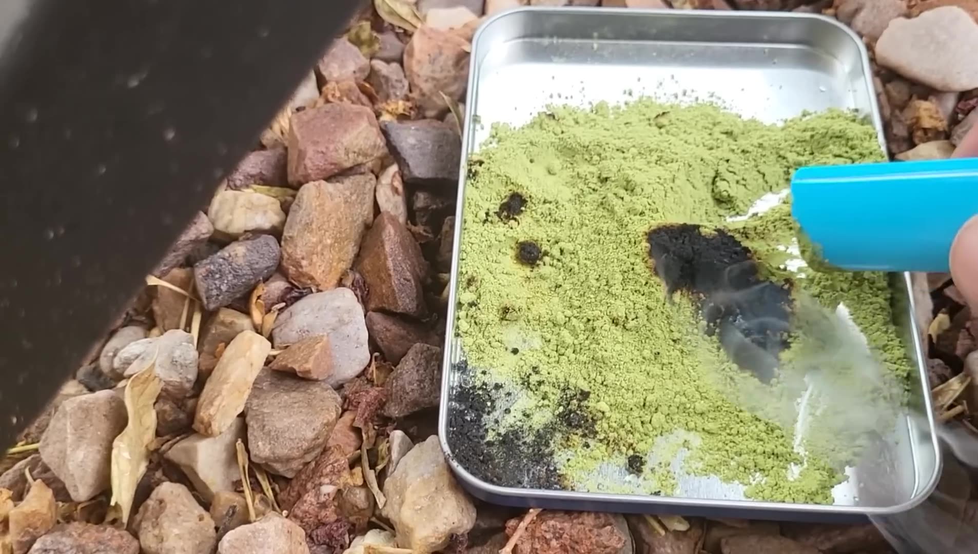 Something Started Shooting Out of My Food