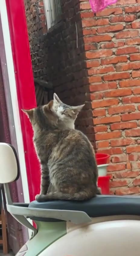 Spring is in the air