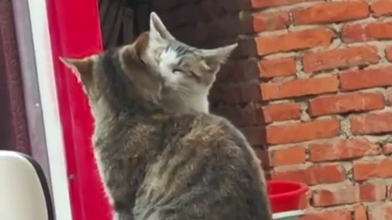 Spring is in the air