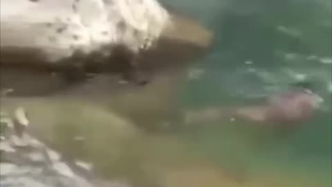 "Unbelievable! Eel Pulled Out from River Depths!" 🐍😲🌊
