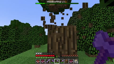 Day 1 - In Minecraft Server ShadowBlade