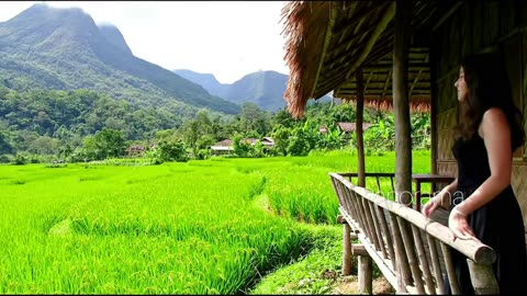 Hidden Gem of Indonesia: Serene Village Rice Paddies