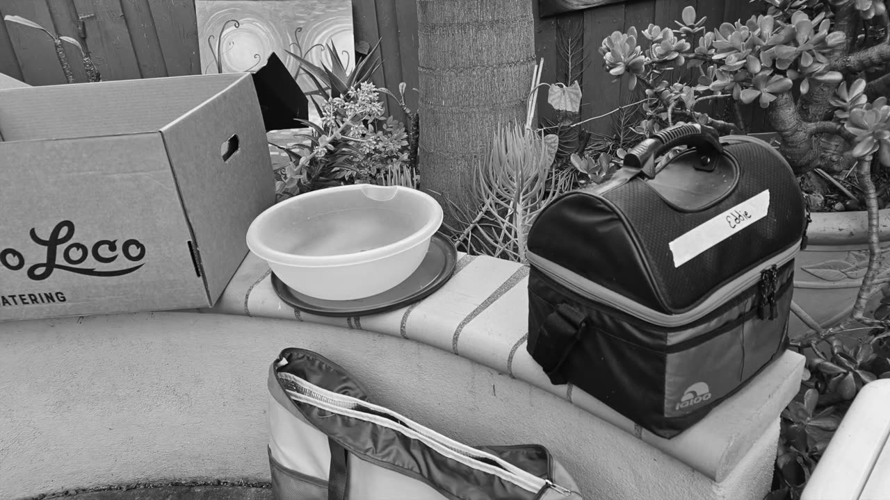 #NoSimpleCaseFilm Fun