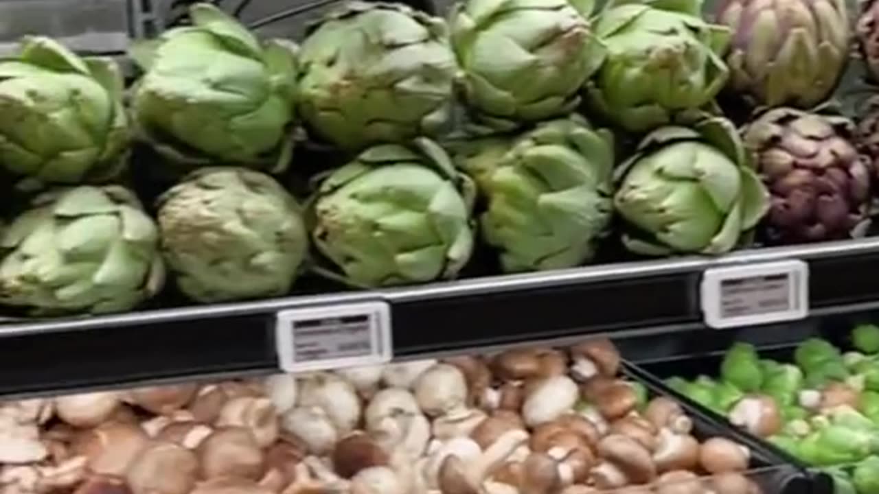 Trump's Deportation of Immigrants Paralyzed The United States.