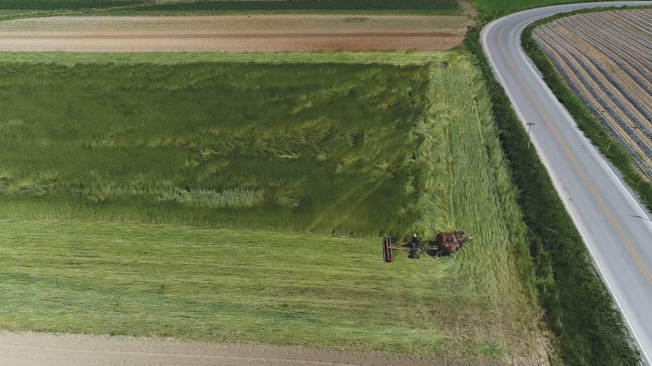 Amish Healthcare: Secrets of Natural Healing