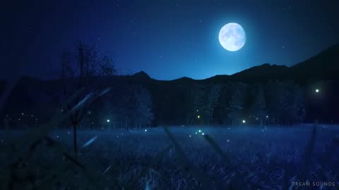 Relaxing Sleep Music and Night Nature Sounds: Soft Crickets, Beautiful Piano, Deep Sleep Music