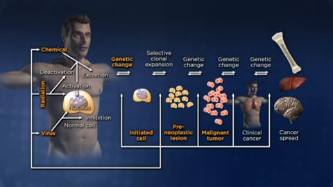 24 Can Cancer Be Prevented