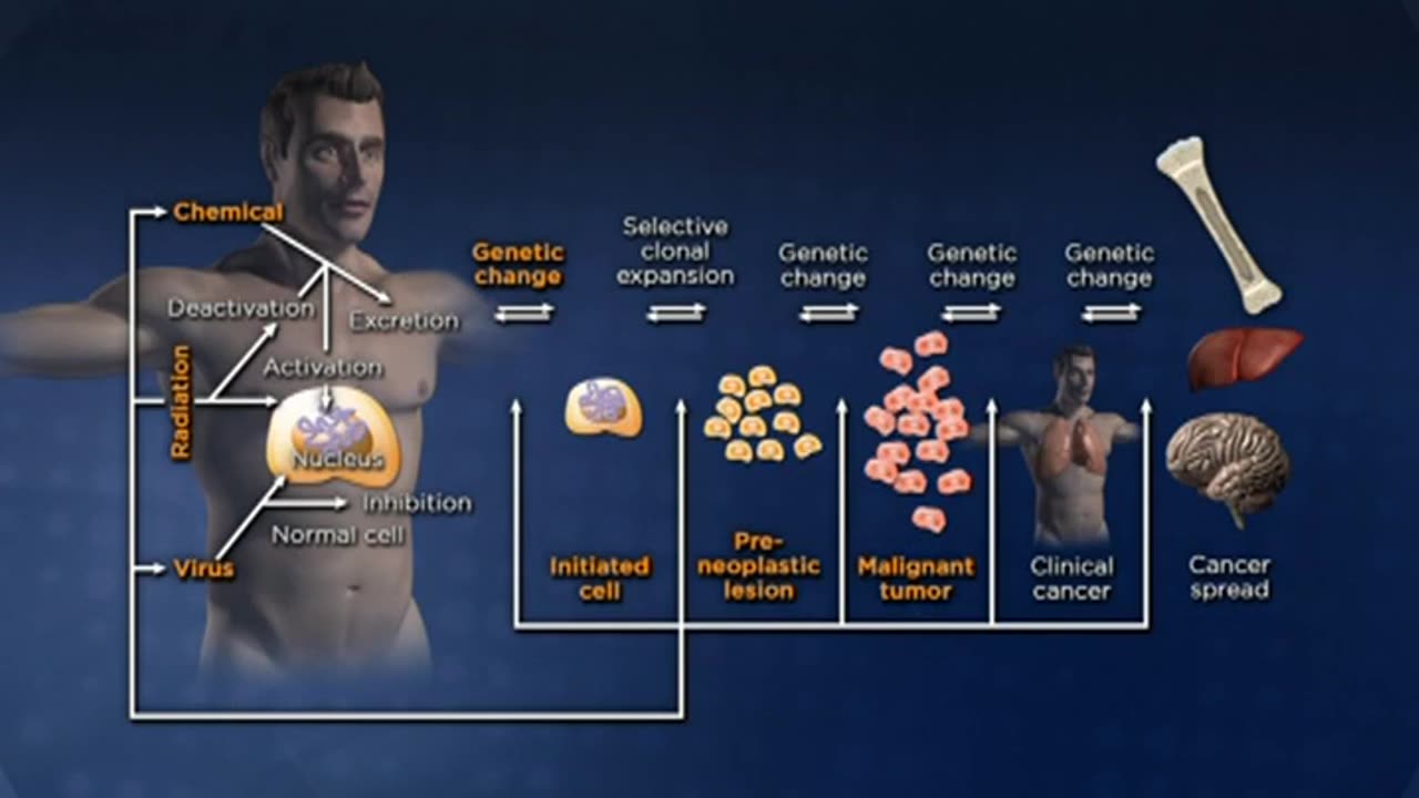 24 Can Cancer Be Prevented