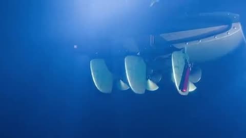 HOW THE CIA USES ANIMALS TO SPY