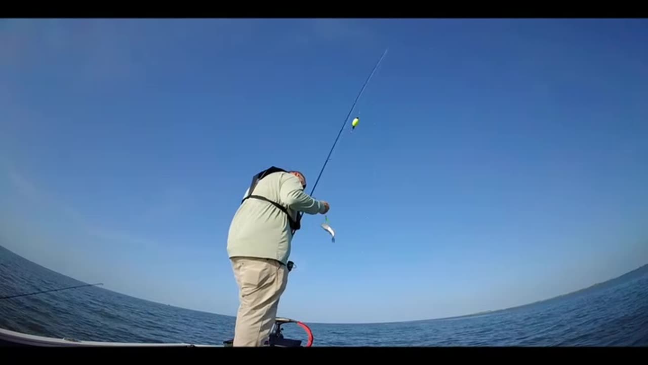 Islands, Tide Lines, Rocks in Hopedale,LA