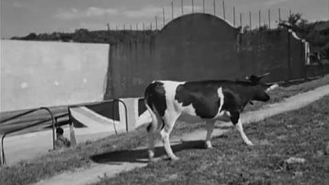 CHURCHILL ON HOLIDAY IN FRANCE - CHURCHILL ON HOLIDAY IN FRANCE - 111-adc-9845