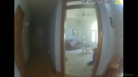 Dog leads Aurora officer to his leash before escaping house fire