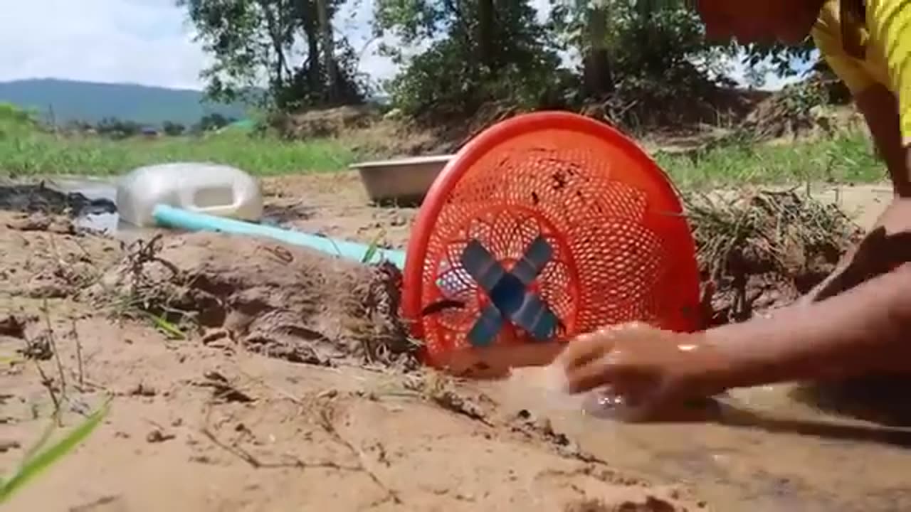 Fish Trapping System