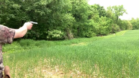 Heritage rough rider 22 mag 50 yards
