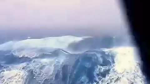 Dark secret of North sea