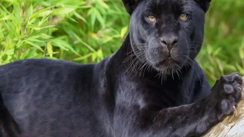 Coloquio del 30 de noviembre del 2025