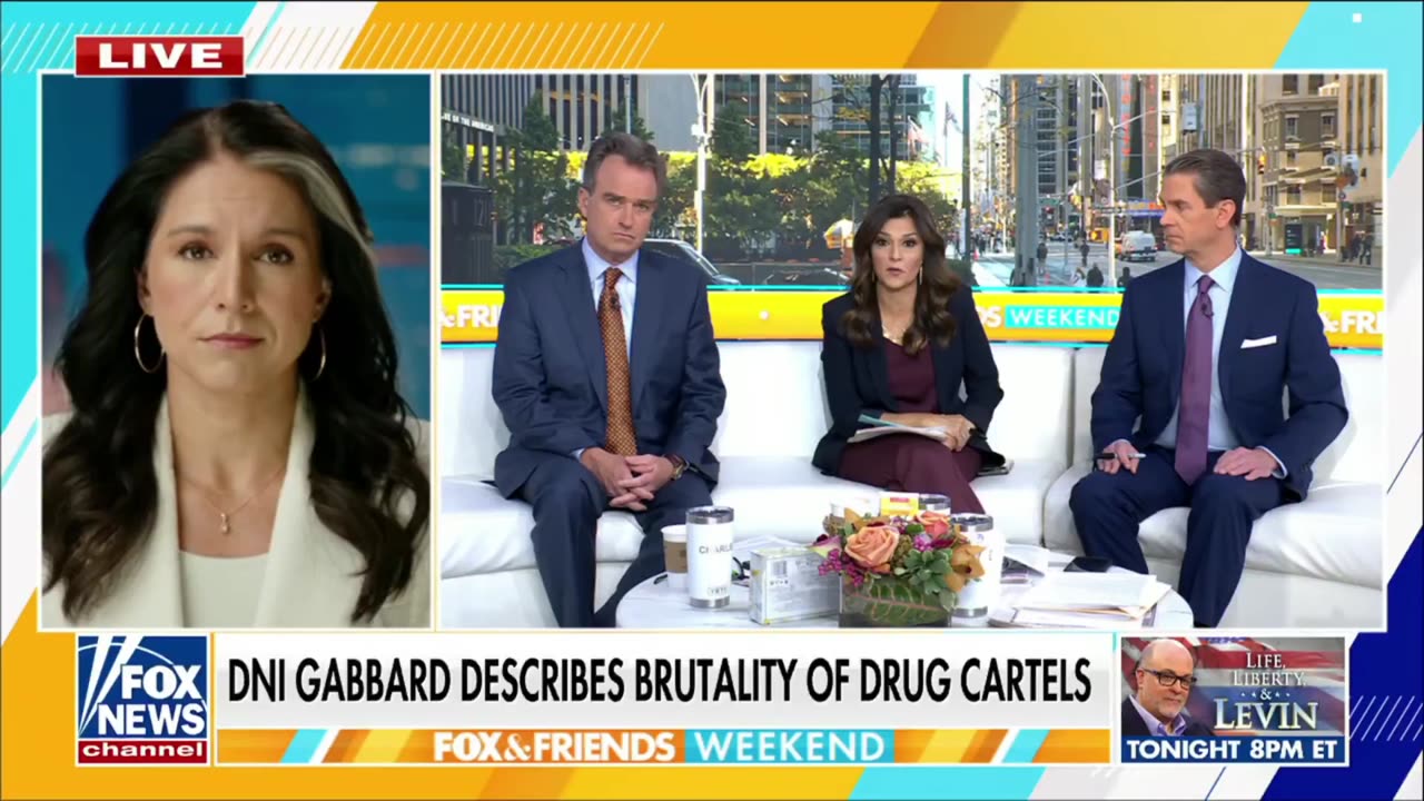 DNI Tulsi Gabbard confirms she is going FULL FORCE to target the cartels and take down senior cartel