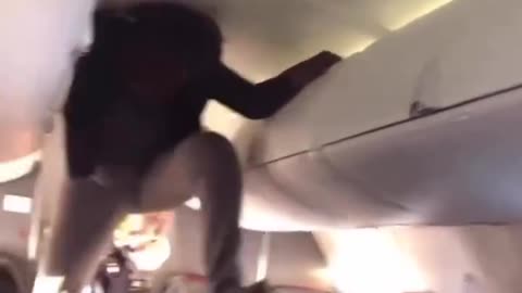 Why do they climb everywhere?