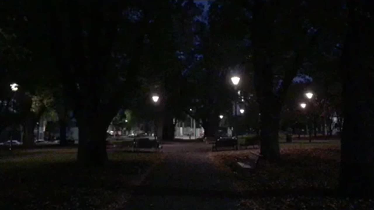 The Sacred Path