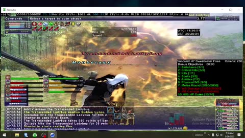 Playing Final Fantasy XI Online