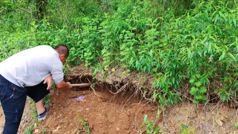 Agate, gems, gold mines, natural amethyst were found