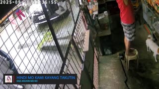 Mitsubishi Xpander 2019 Live