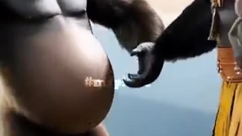 Nature witness wordless love #Animal #funny #Love #Trending