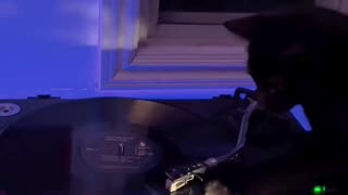 😂🐱 This DJ Cat is the Ultimate Party Animal! | FunFM