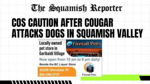 Cougar Attacks Dogs in Squamish Valley - www.squamishreporter.com