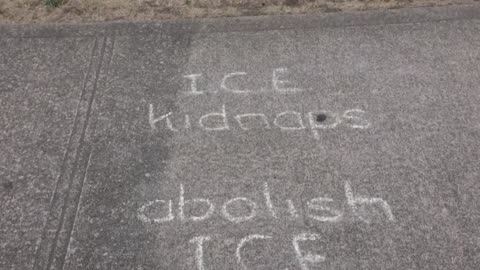 Two firefighters held by ICE amid wildfire, congresswoman says