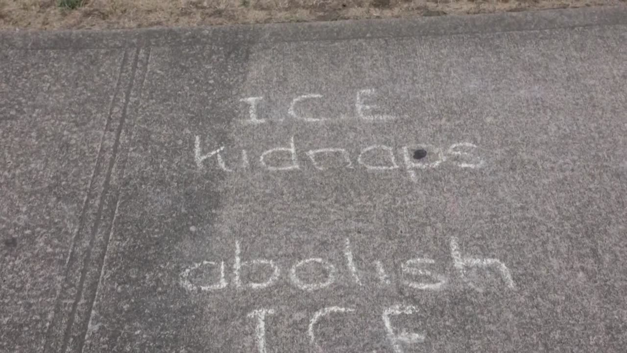 Two firefighters held by ICE amid wildfire, congresswoman says