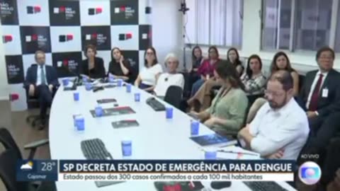Epidemia de Dengue no Estado de São Paulo em 2024