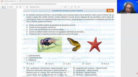 AULA 20 REPASO 2026 - 1 | Semana 04 | Anatomía