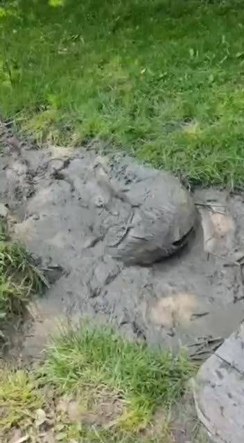 Mud bath brings out the shine in your skin 🤣