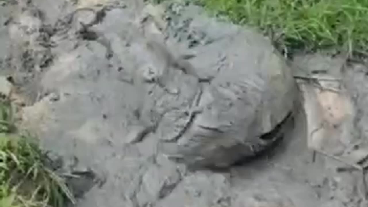 Mud bath brings out the shine in your skin 🤣