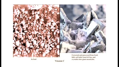 Aajonus Vonderplanitz Primal Diet Workshop (2 of 3)